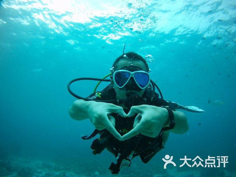 老种鸽的使用需要注意什么